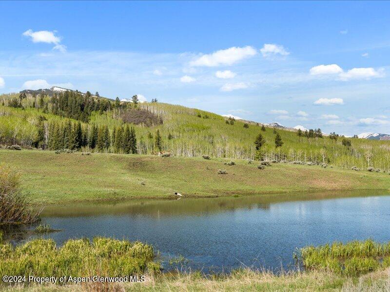 1333 West Buttermilk Road Aspen, CO 81611 - Photo 24 of 27 50-1313_1333wBmilk_24052050