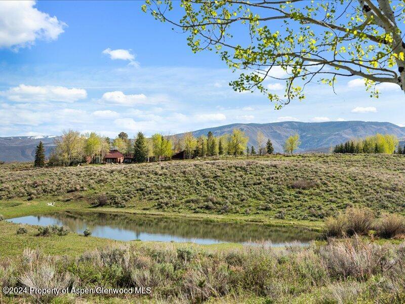 1333 West Buttermilk Road Aspen, CO 81611 - Photo 25 of 27 51-1313_1333wBmilk_24052051