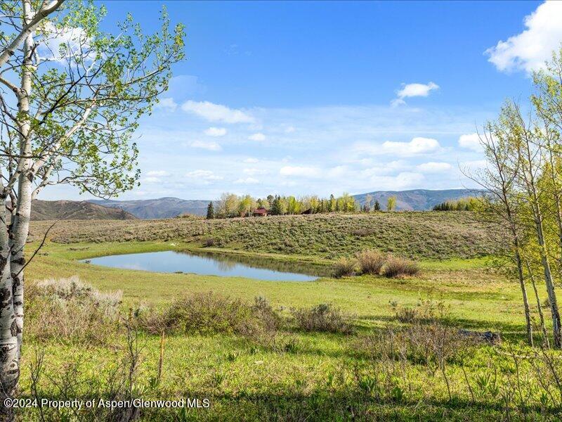 1333 West Buttermilk Road Aspen, CO 81611 - Photo 26 of 27 52-1313_1333wBmilk_24052052
