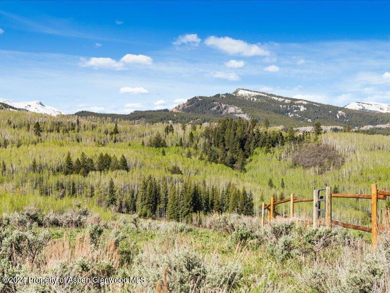1333 West Buttermilk Road Aspen, CO 81611 - Photo 3 of 27 41-1313_1333wBmilk_24052041