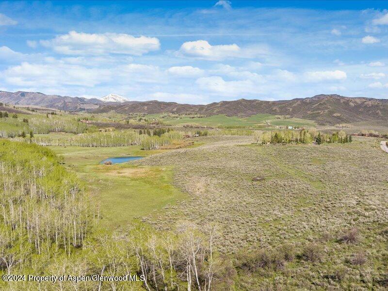 1333 West Buttermilk Road Aspen, CO 81611 - Photo 4 of 27 03-1313_1333wBmilk_24052003