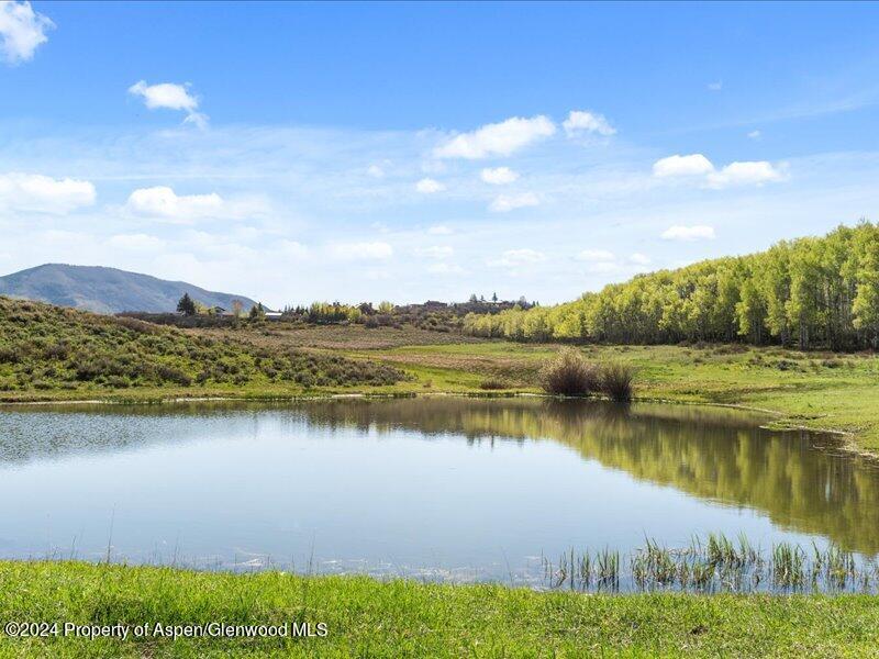 1333 West Buttermilk Road Aspen, CO 81611 - Photo 5 of 27 54-1313_1333wBmilk_24052054