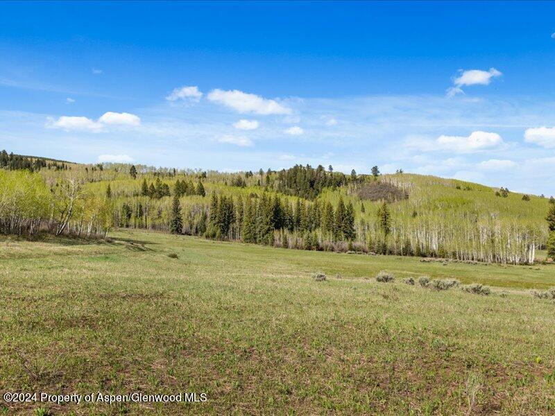 1333 West Buttermilk Road Aspen, CO 81611 - Photo 6 of 27 53-1313_1333wBmilk_24052053