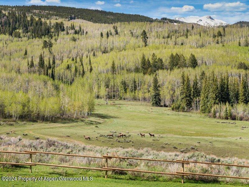 1333 West Buttermilk Road Aspen, CO 81611 - Photo 7 of 27 57-1313_1333wBmilk_24052058