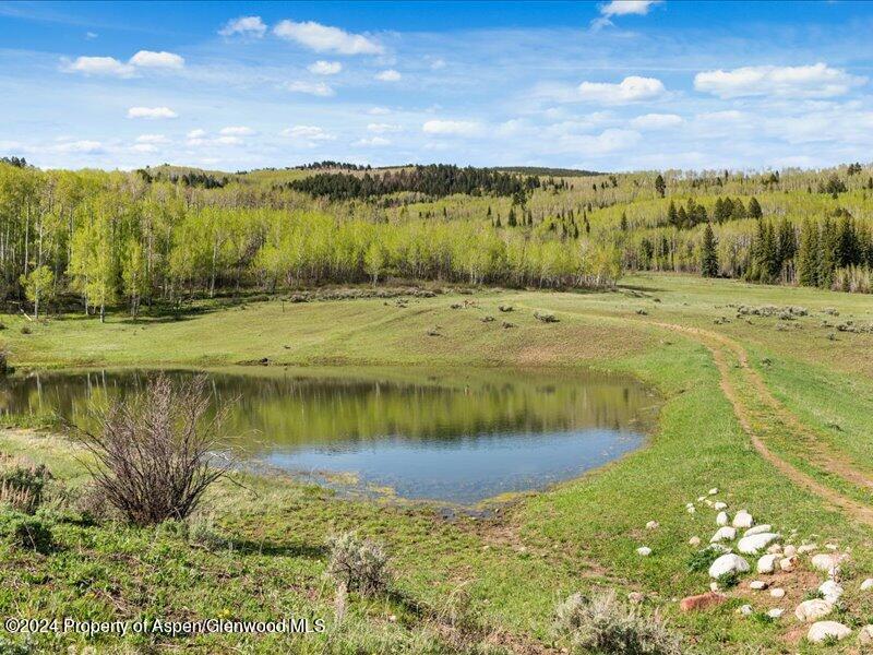 1333 West Buttermilk Road Aspen, CO 81611 - Photo 8 of 27 56-1313_1333wBmilk_24052055