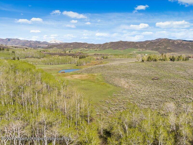 1333 West Buttermilk Road Aspen, CO 81611 - Photo 9 of 27 05-1313_1333wBmilk_24052005