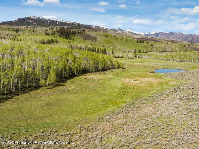 1333 West Buttermilk Road Aspen, CO 81611 - Photo 10 of 27 06-1313_1333wBmilk_24052006