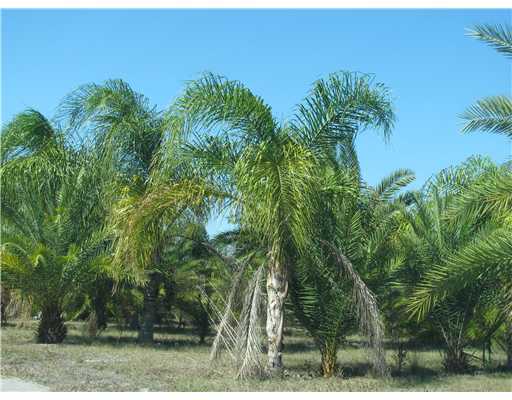 11601 Southwest Fox Brown Road Indiantown, FL 34956 - Photo 11 of 11 Additional Photo
