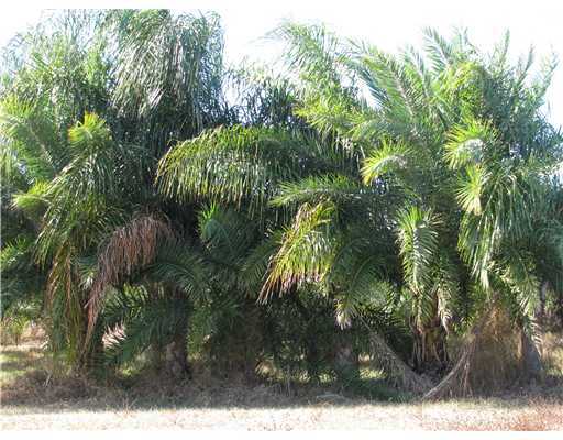 11601 Southwest Fox Brown Road Indiantown, FL 34956 - Photo 3 of 11 Additional Photo