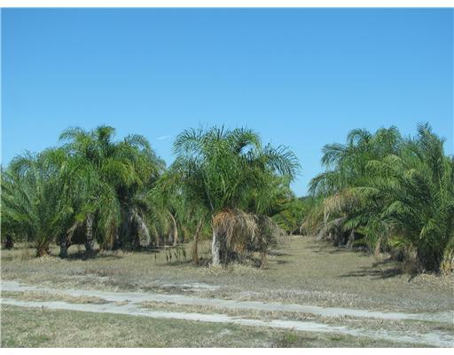 11601 Southwest Fox Brown Road Indiantown, FL 34956 - Photo 4 of 11 Additional Photo