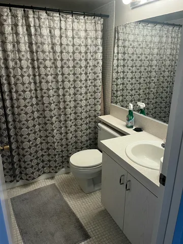 a bathroom with a sink a toilet and shower curtain