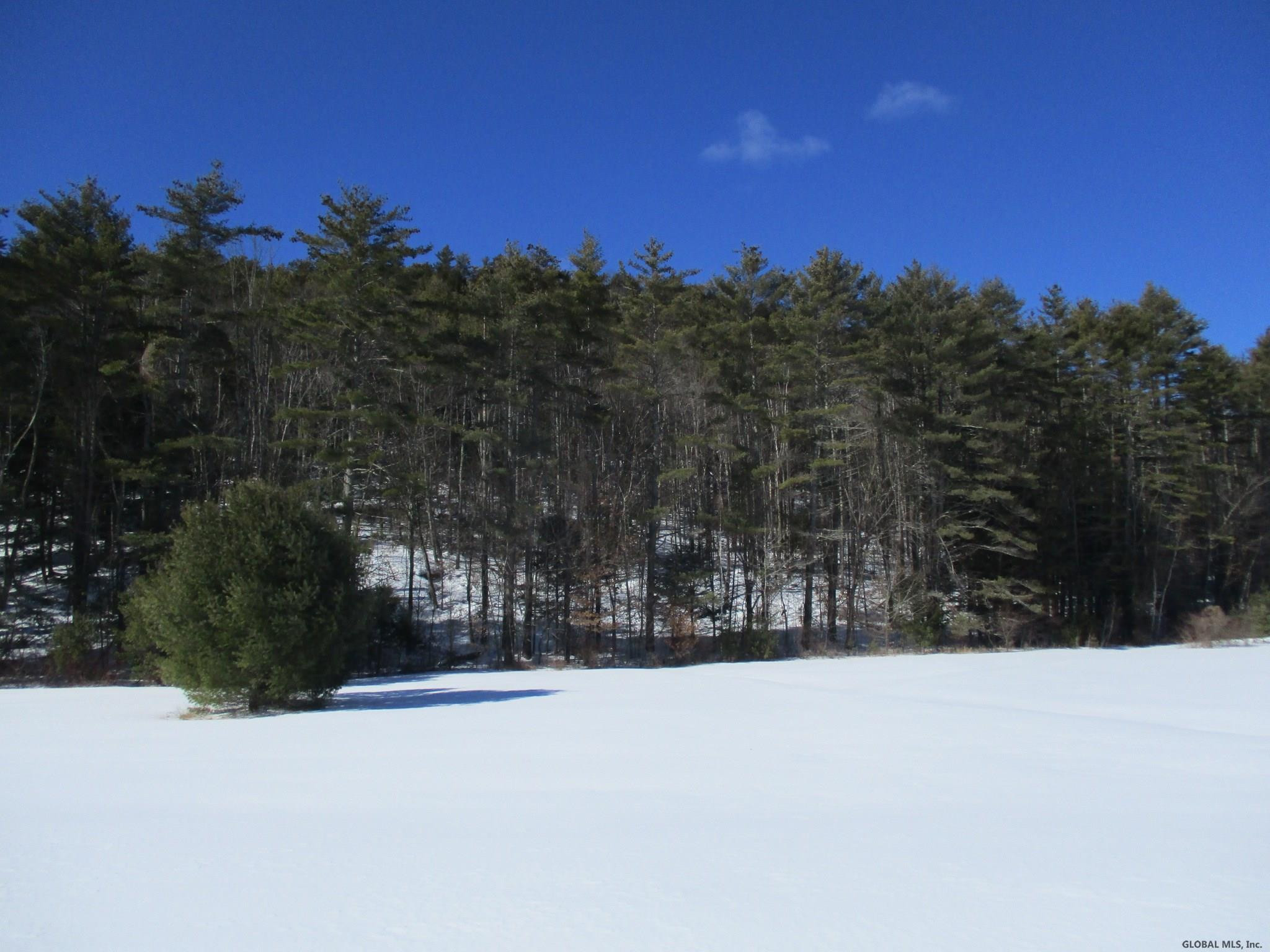 L6.3 Schroon River Road, Unit SCHROON RIVER ROAD LOT 3 Diamond Point, NY 12824 - Photo 1 of 17 Photo 1