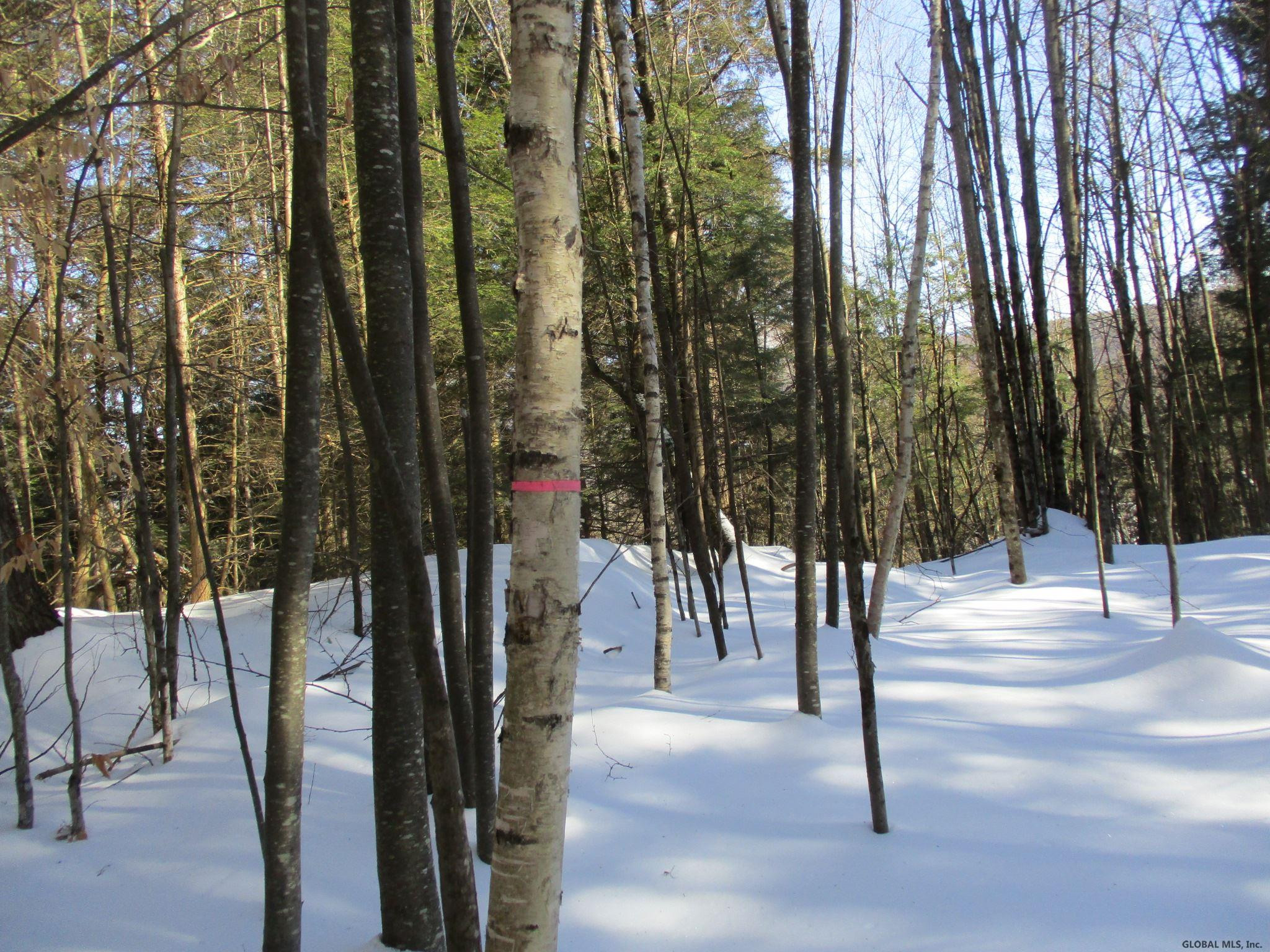 L6.3 Schroon River Road, Unit SCHROON RIVER ROAD LOT 3 Diamond Point, NY 12824 - Photo 14 of 17 Photo 14
