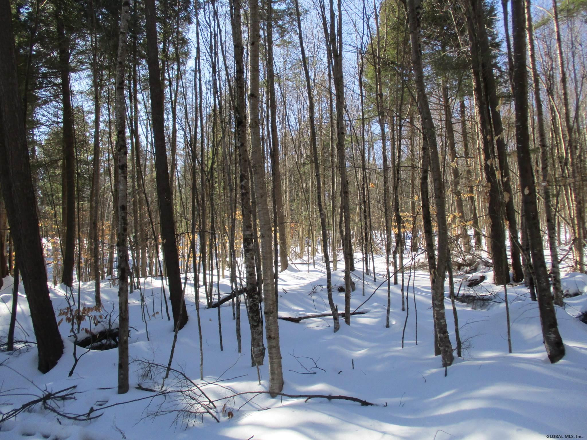 L6.3 Schroon River Road, Unit SCHROON RIVER ROAD LOT 3 Diamond Point, NY 12824 - Photo 15 of 17 Photo 15