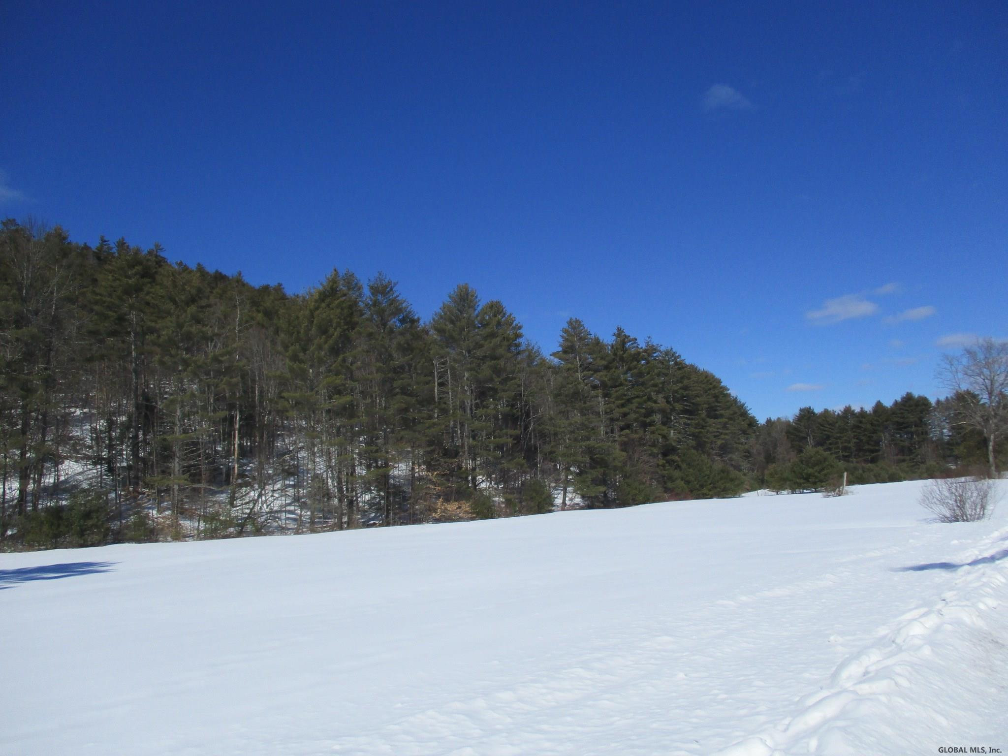 L6.3 Schroon River Road, Unit SCHROON RIVER ROAD LOT 3 Diamond Point, NY 12824 - Photo 17 of 17 Photo 17
