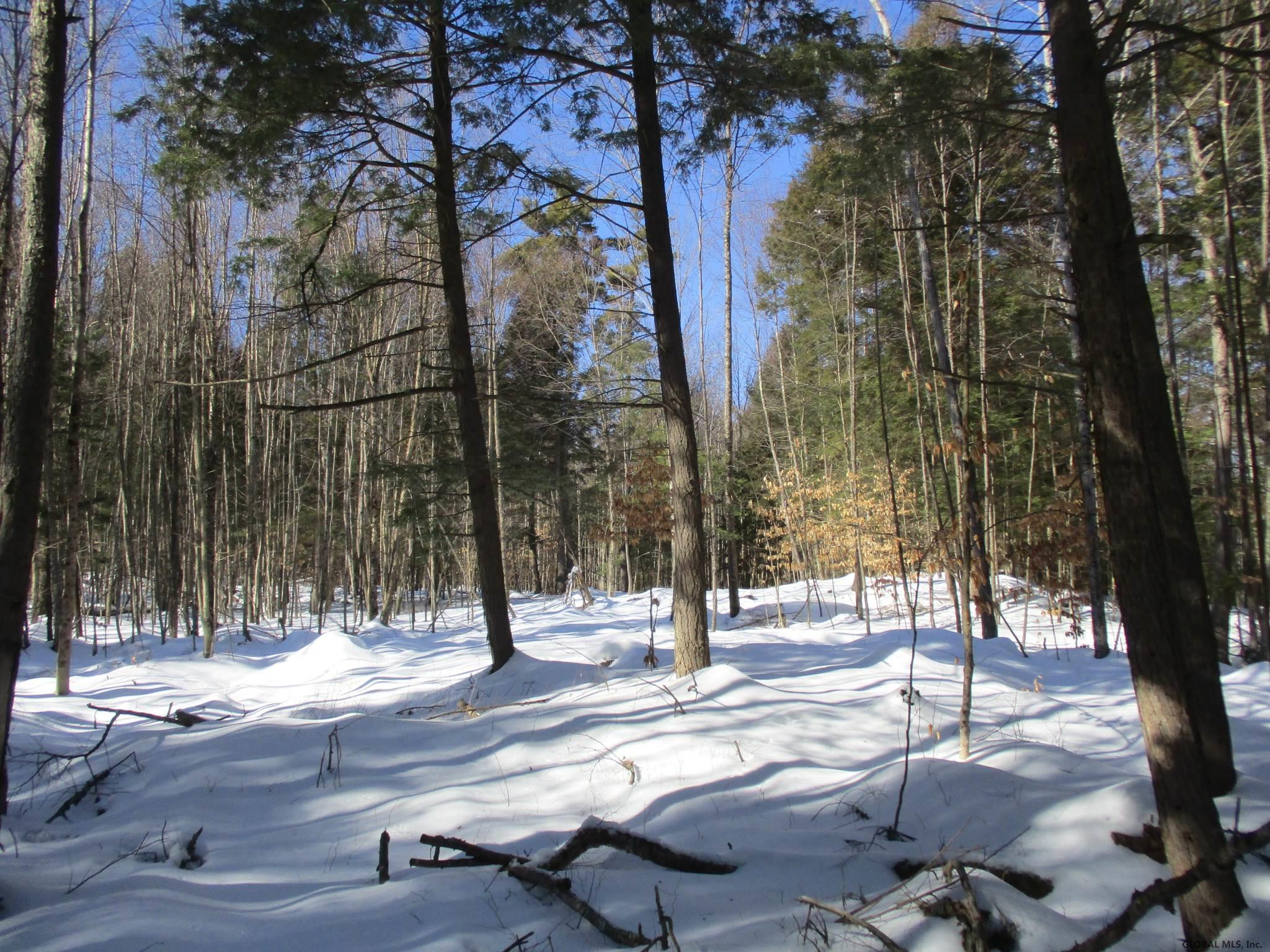 L6.3 Schroon River Road, Unit SCHROON RIVER ROAD LOT 3 Diamond Point, NY 12824 - Photo 2 of 17 Photo 2