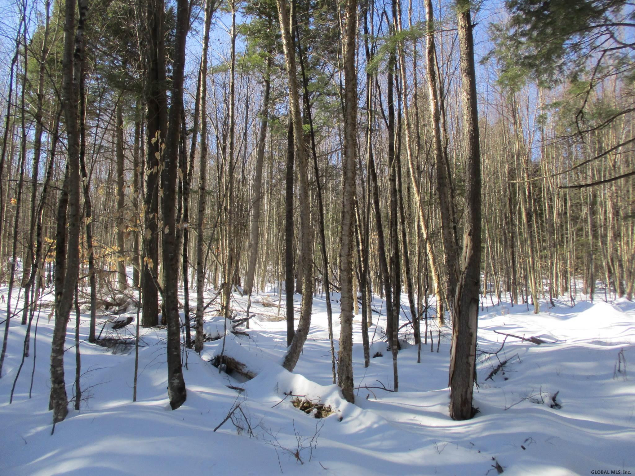 L6.3 Schroon River Road, Unit SCHROON RIVER ROAD LOT 3 Diamond Point, NY 12824 - Photo 3 of 17 Photo 3