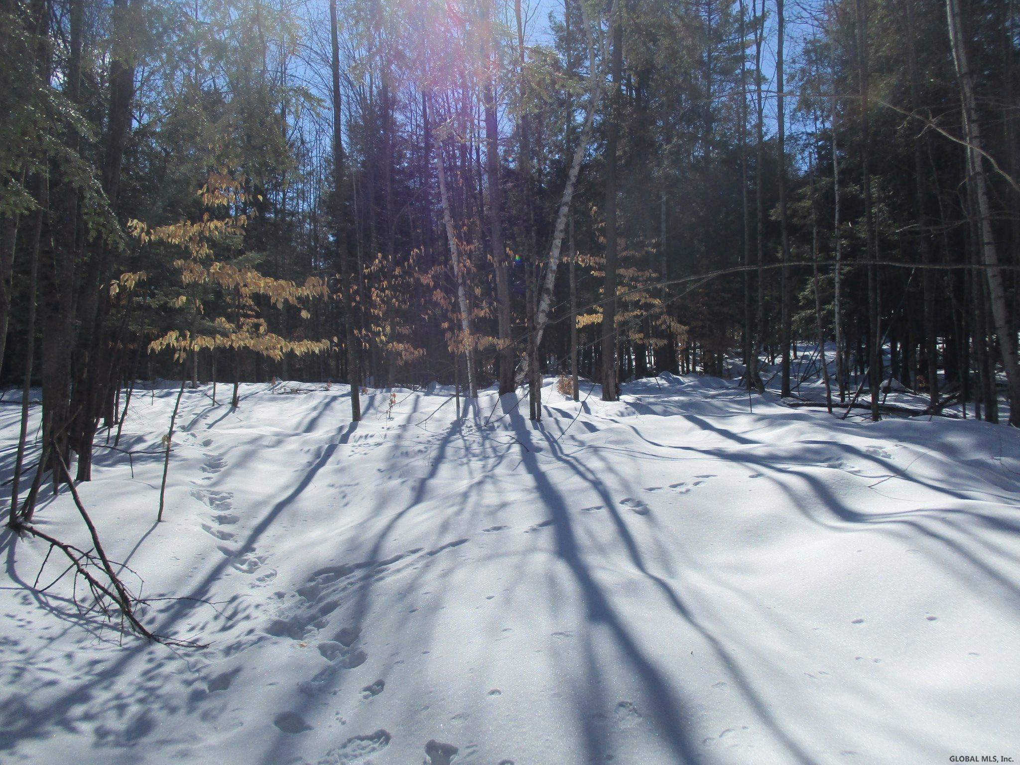 L6.3 Schroon River Road, Unit SCHROON RIVER ROAD LOT 3 Diamond Point, NY 12824 - Photo 4 of 17 Photo 4
