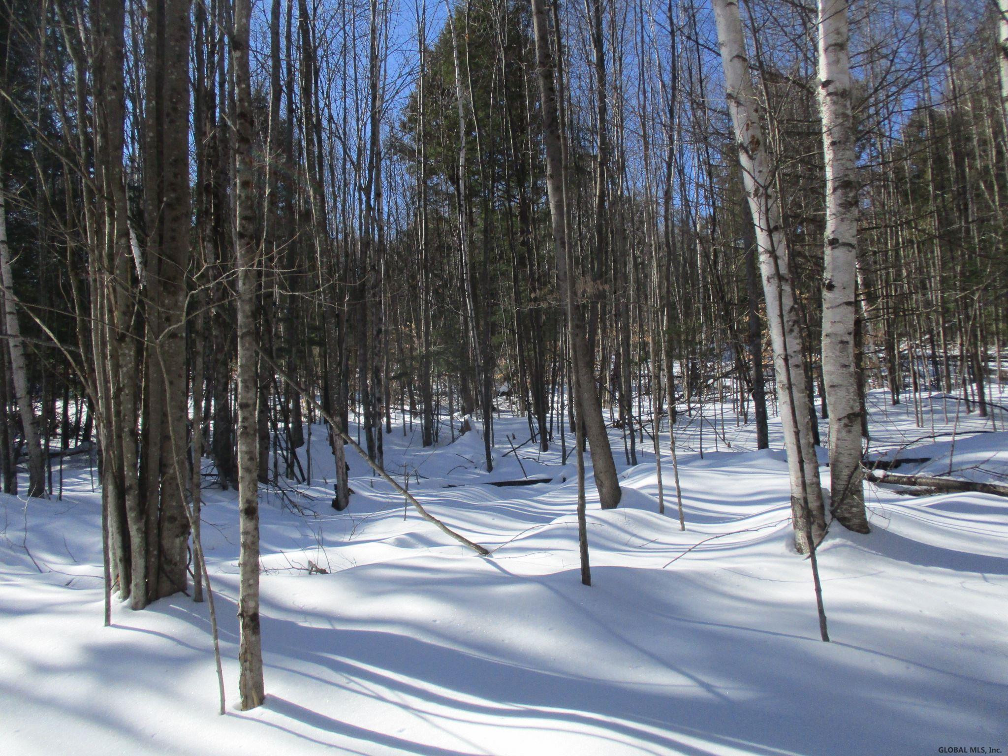 L6.3 Schroon River Road, Unit SCHROON RIVER ROAD LOT 3 Diamond Point, NY 12824 - Photo 5 of 17 Photo 5