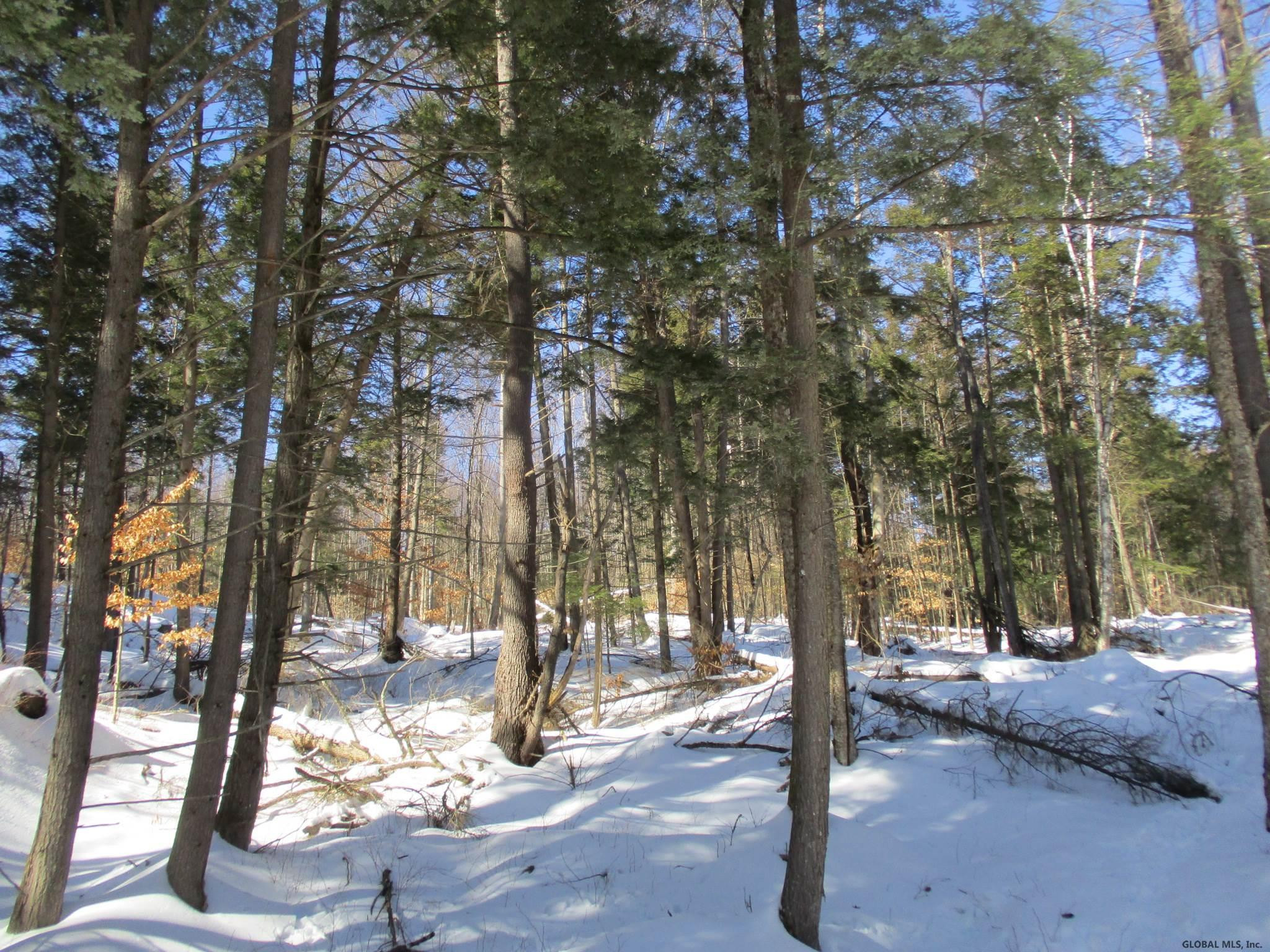 L6.3 Schroon River Road, Unit SCHROON RIVER ROAD LOT 3 Diamond Point, NY 12824 - Photo 9 of 17 Photo 9