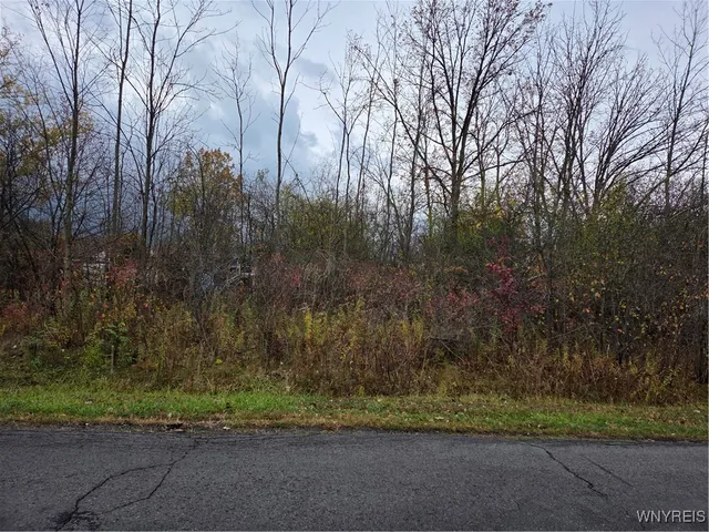 $12,000 | Vl Vl 4th Niagara Falls, Barker, NY 14012