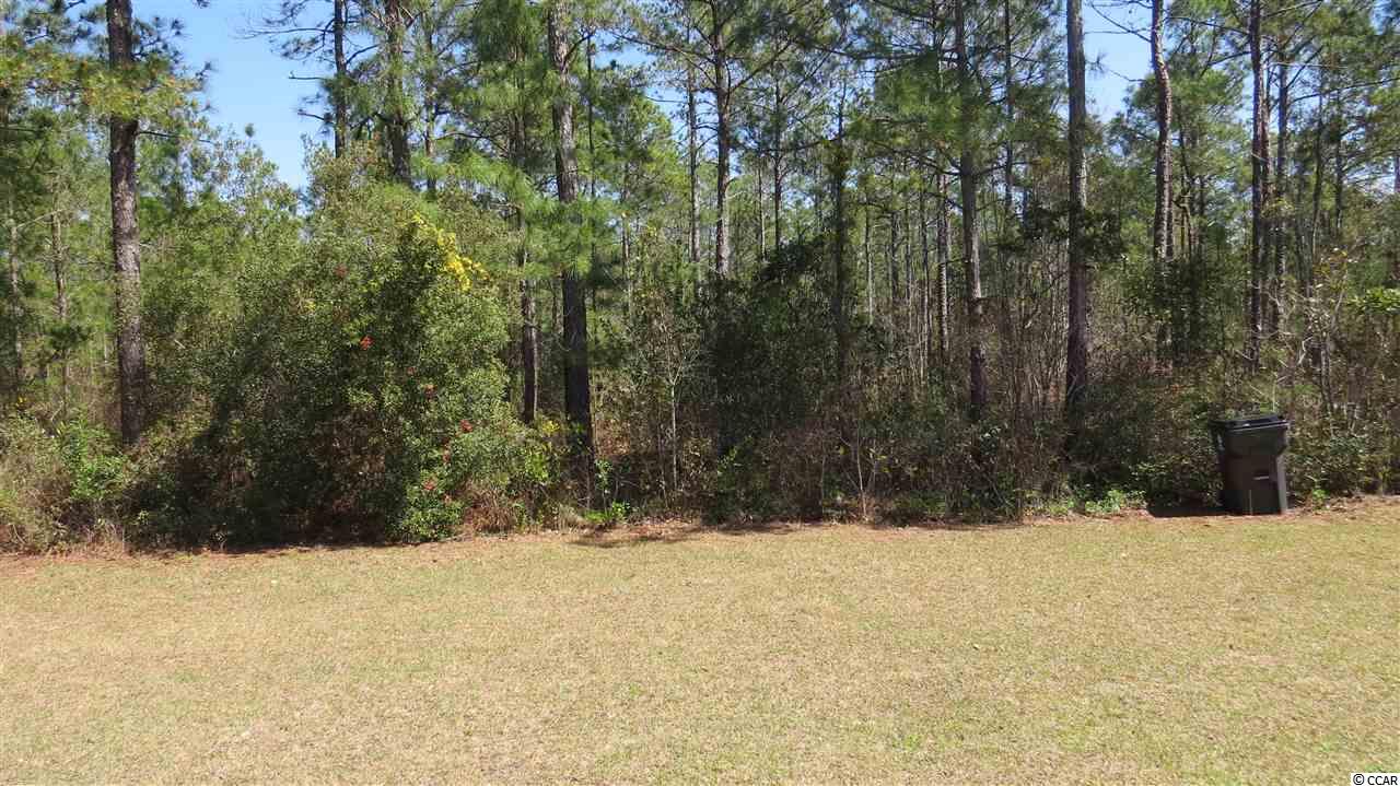 313 Seabert Road, Unit 313 Myrtle Beach, SC 29579 - Photo 13 of 16 Gallery Image 13