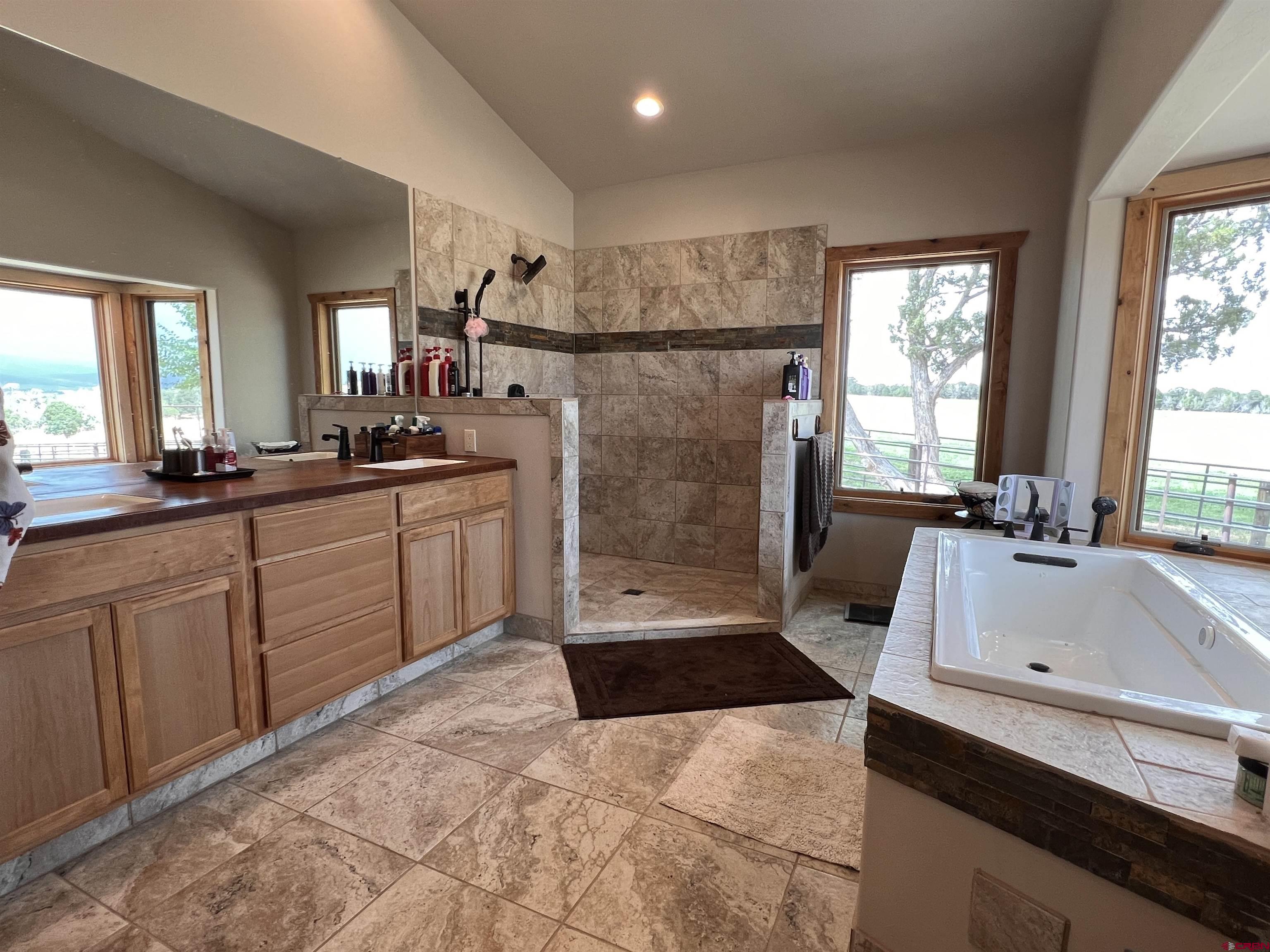 72997 O72 Road Montrose, CO 81401 - Photo 13 of 34 a bathroom with a double vanity sink a large mirror and a bathtub