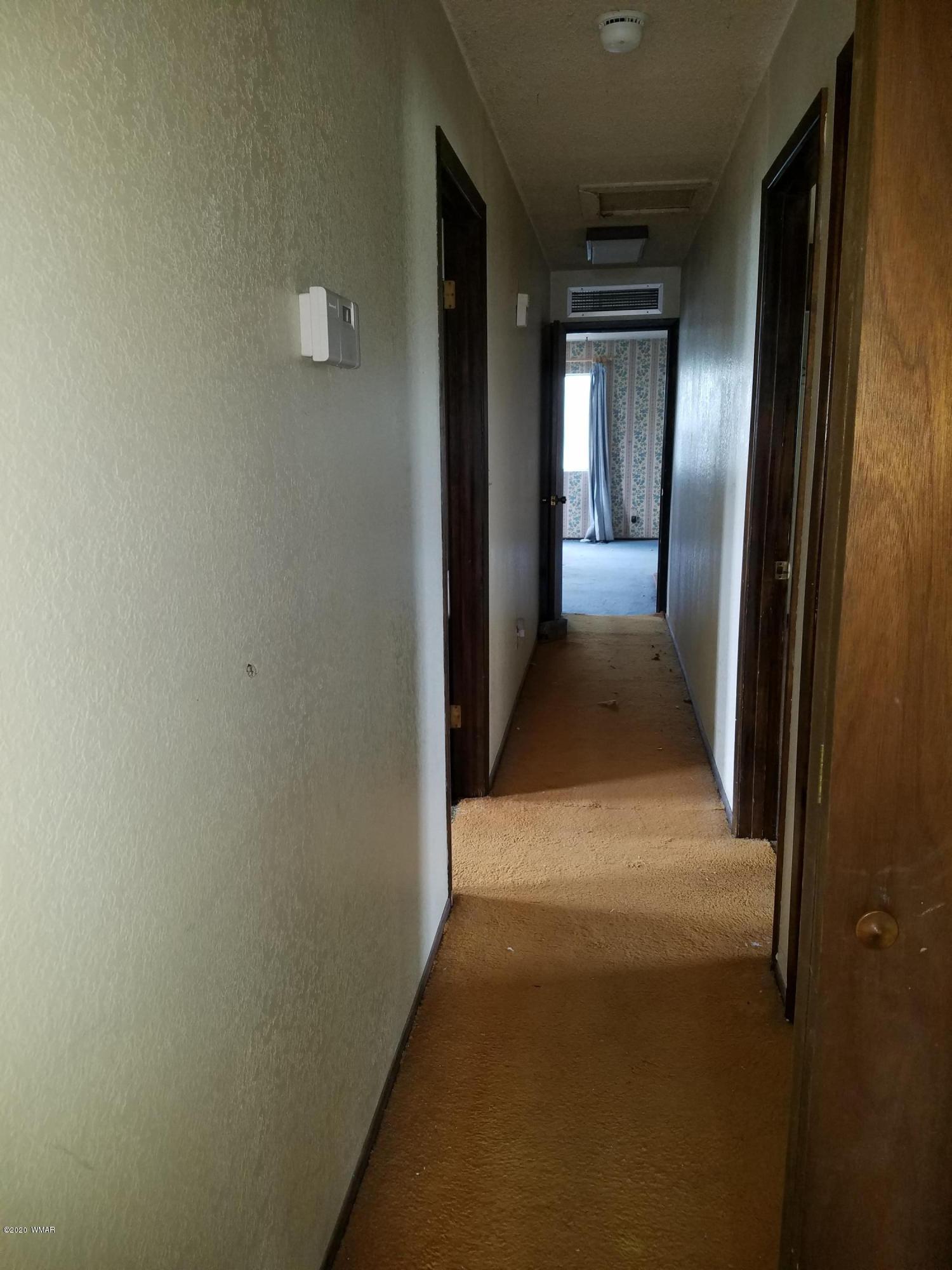 46 County Road 4131 Springerville, AZ 85938 - Photo 16 of 34