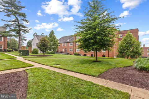 a view of a park with large trees