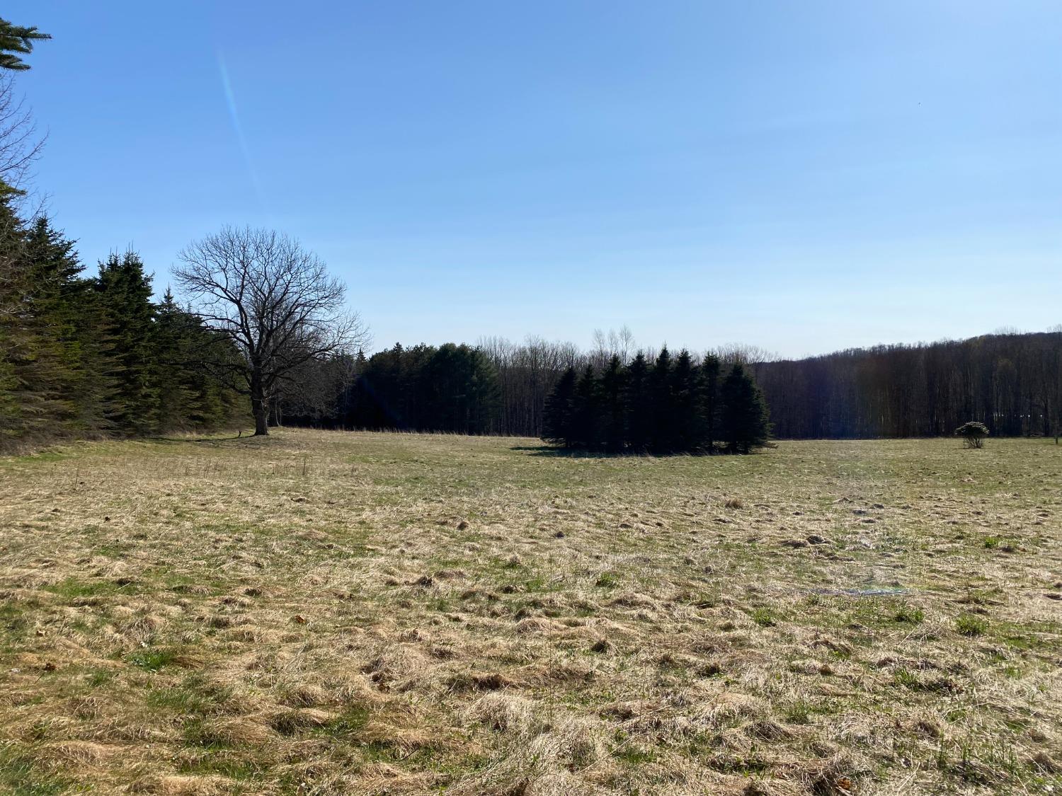 0 Teed Road Walton, NY 13856 - Photo 1 of 1 Gallery Image 1