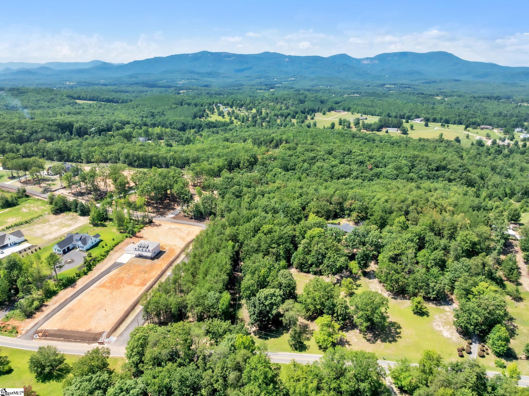 1940 Pleasant Hill Road, Unit LOT 4 Greer, SC 29651 - Photo 3 of 13