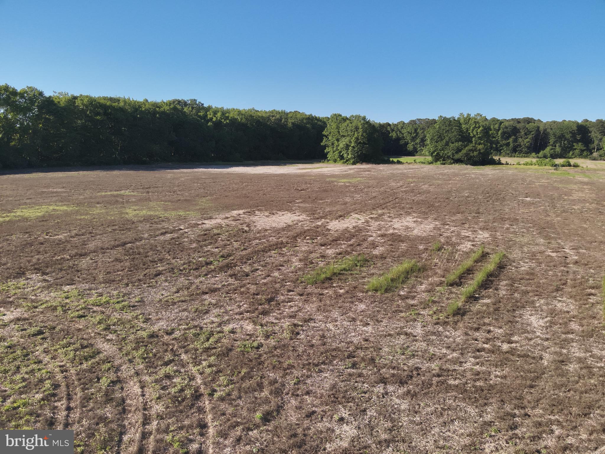 Dinges Road Berlin, MD 21811 - Photo 22 of 22