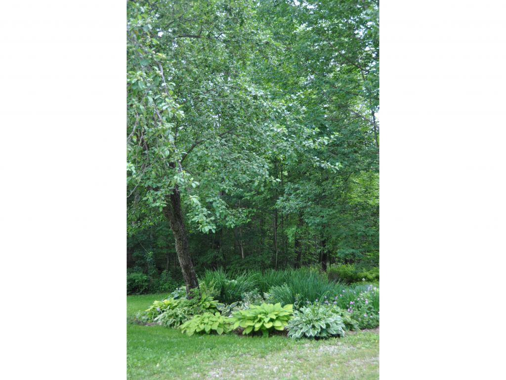 1238 North Branch Road Ripton, VT 05766 - Photo 33 of 36