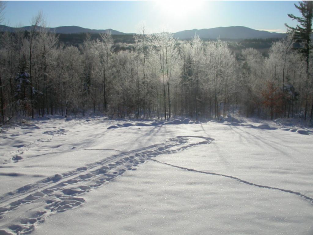 1238 North Branch Road Ripton, VT 05766 - Photo 9 of 36