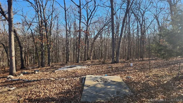 Lot 29 Cove Road, Osage Beach, MO 65065
