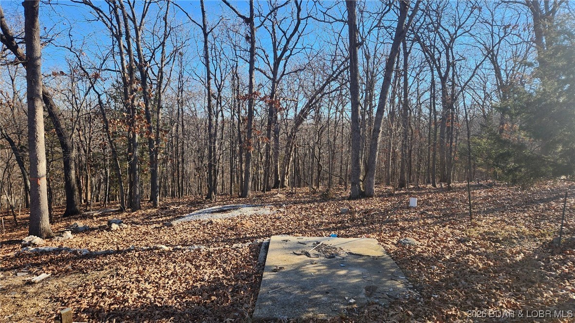 Lot 29 Cove Road Osage Beach, MO 65065 - Photo 1 of 1