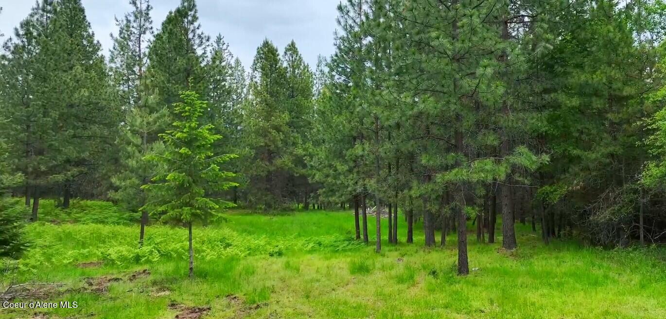 Parcel C South Dunlap Road Harrison, ID 83833 - Photo 6 of 22 Parcel C Meadow