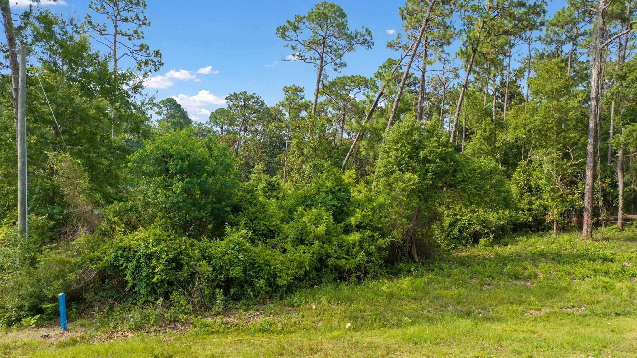 9268 County Road 99 Lillian, AL 36549 - Photo 11 of 11