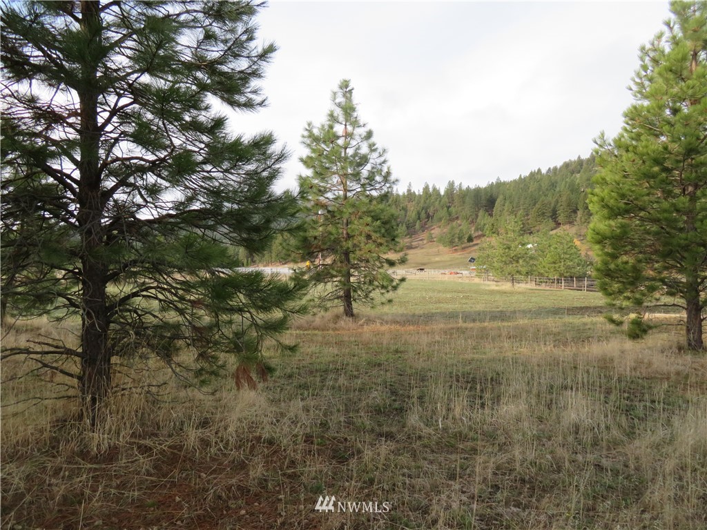 281 West Curlew Lake Road Republic, WA 99166 - Photo 22 of 24