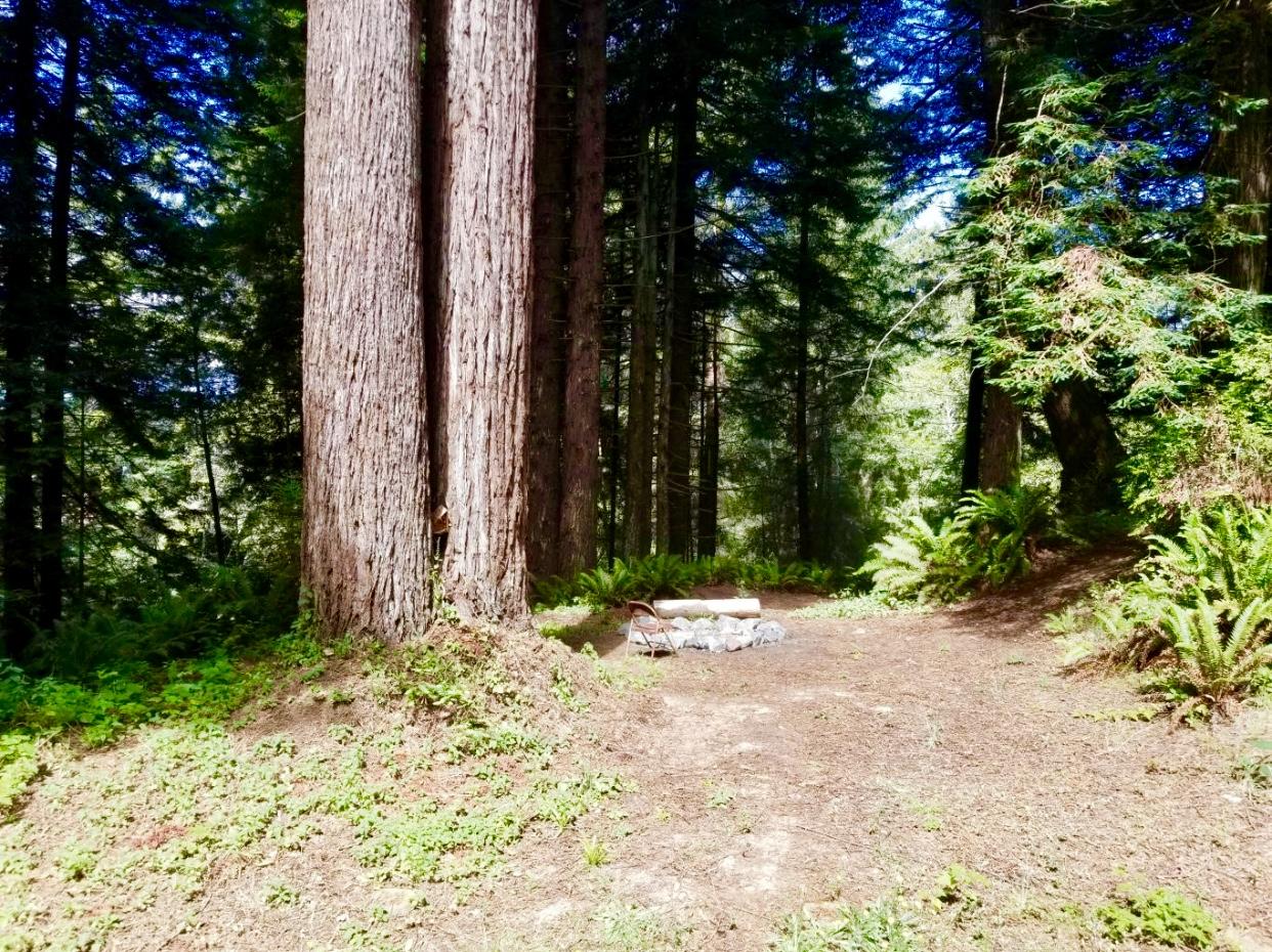612 Alder Grove Road Arcata, CA 95521 - Photo 16 of 20