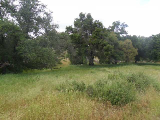 820-acres Round Potrero Road Potrero, CA 91963 - Photo 11 of 21 Gallery Image 11