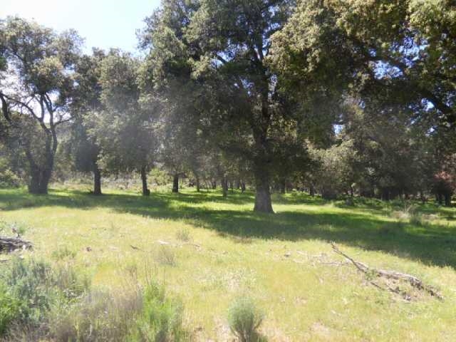 820-acres Round Potrero Road Potrero, CA 91963 - Photo 13 of 21 Gallery Image 13