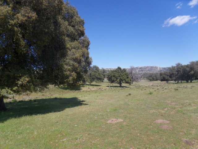 820-acres Round Potrero Road Potrero, CA 91963 - Photo 16 of 21 Gallery Image 16