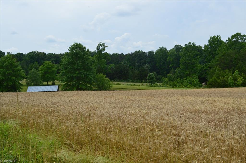 3964 Lamarr Valley Road Gibsonville, NC 27249 - Photo 22 of 22 Gallery Image 22