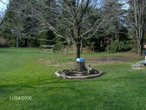 506 Steiner Bridge Road Valencia, PA 16059 - Photo 3 of 8 Yard/Garden.