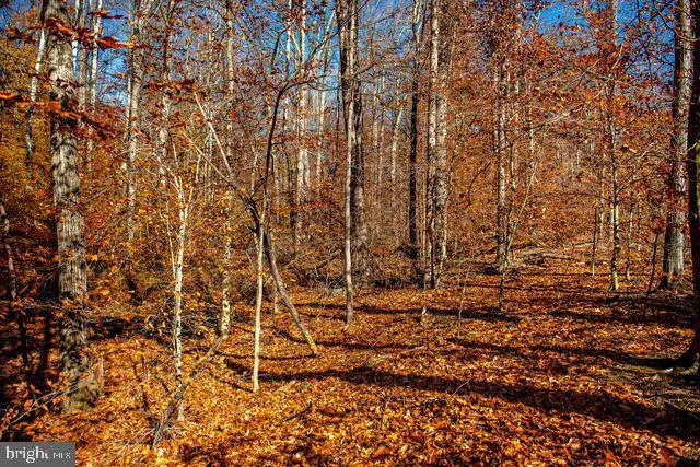 a view of a backyard of the house