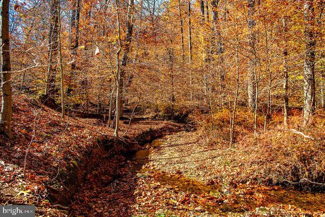 a picture of a street
