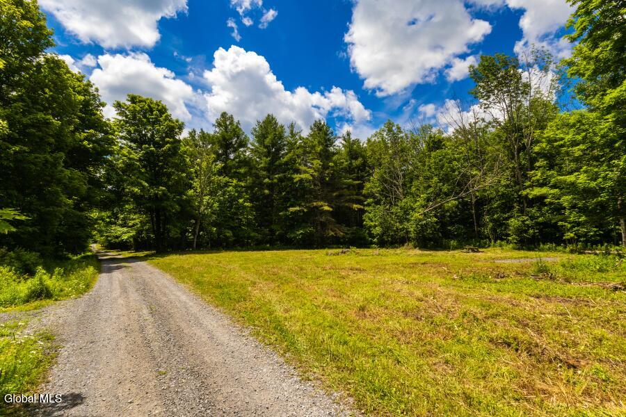 L4.111 Anderson Road Middleburgh, NY 12122 - Photo 3 of 12 8