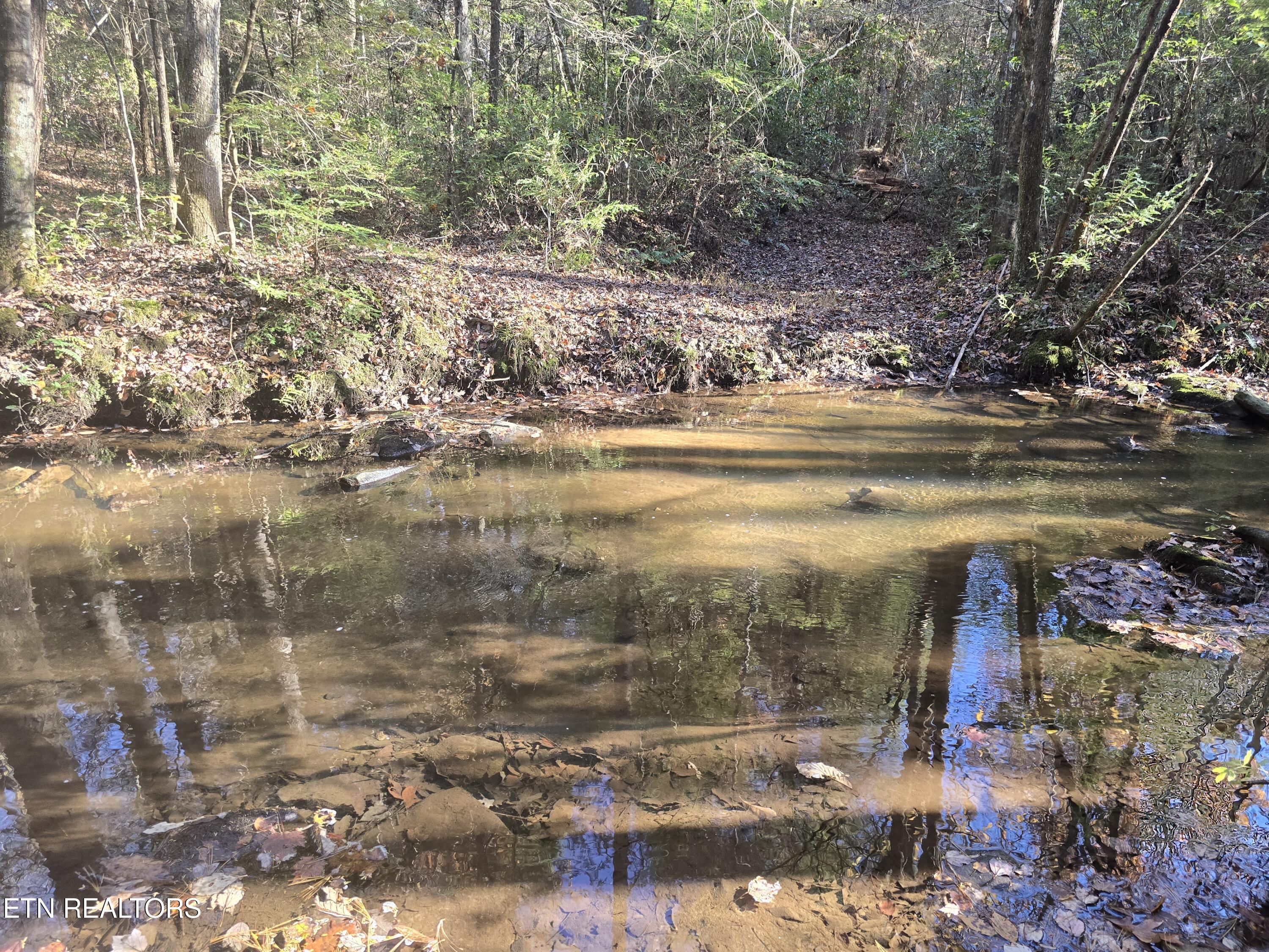 373 Georgee Road Jamestown, TN 38556 - Photo 12 of 30 20251106_140547