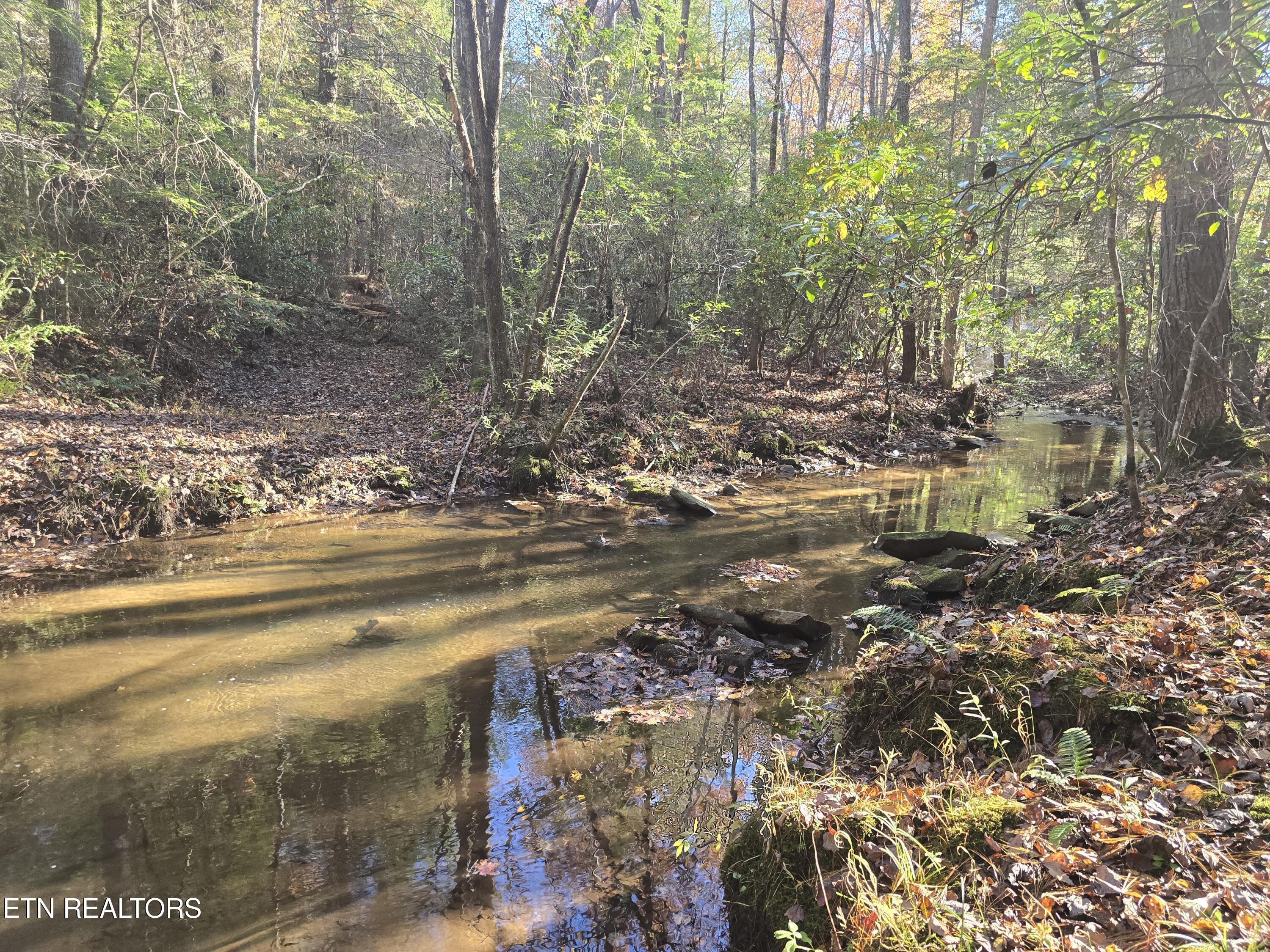 373 Georgee Road Jamestown, TN 38556 - Photo 13 of 30 20251106_140551